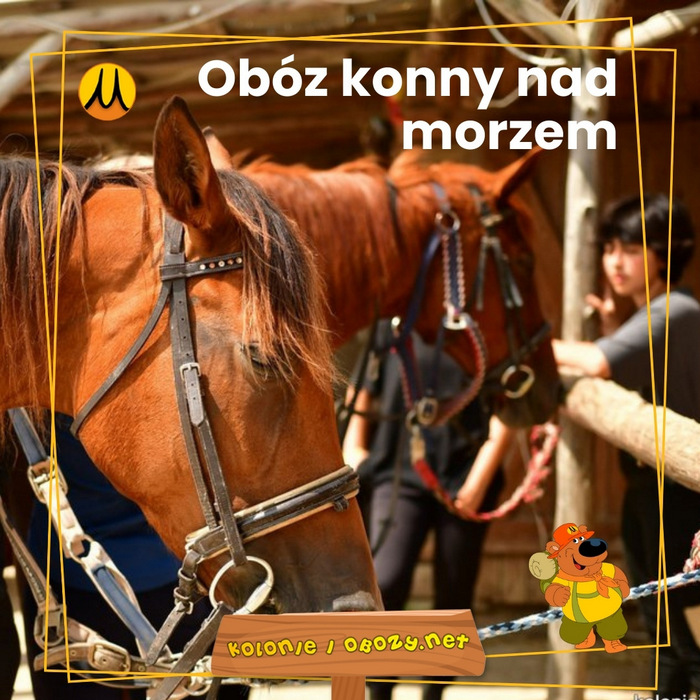 Obóz dla dzieci z jazdą konną nad morzem na Lato 2025