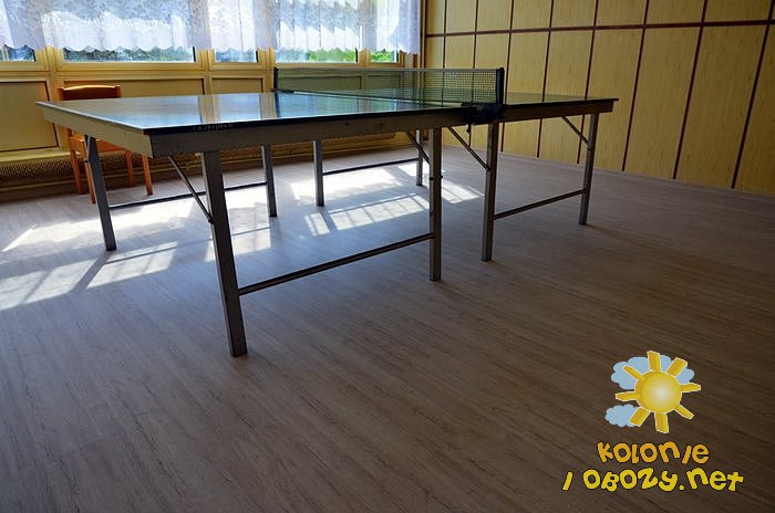 Kolonie letnie w OW Carbo