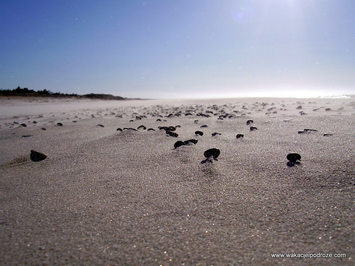 Najpiękniejsze polskie plaże Najpiękniejsze polskie plaże