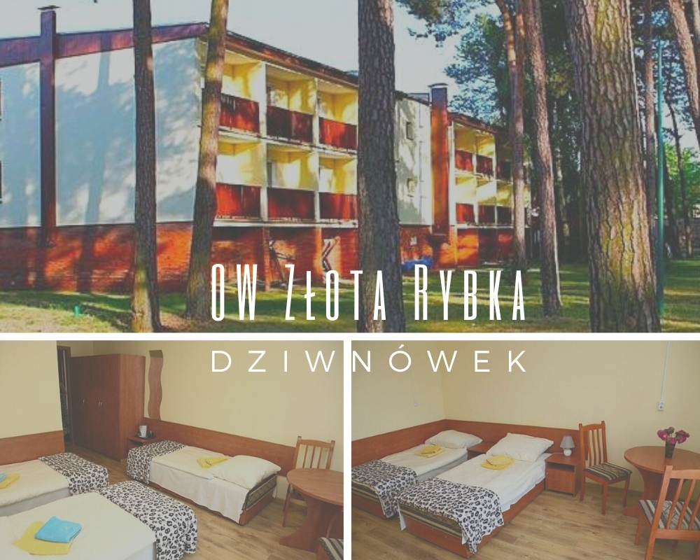 OW Złota Rybka - Kolonie nad morzem dla dzieci - obóz Fantasy